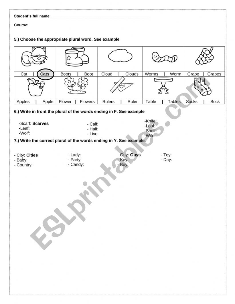 PLURALS worksheet