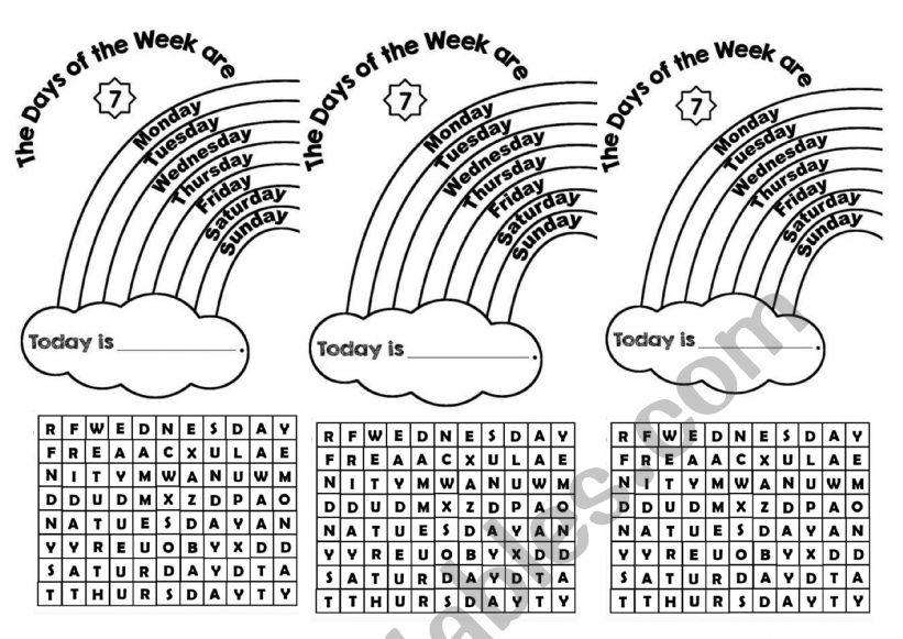 WORKBOOK  worksheet