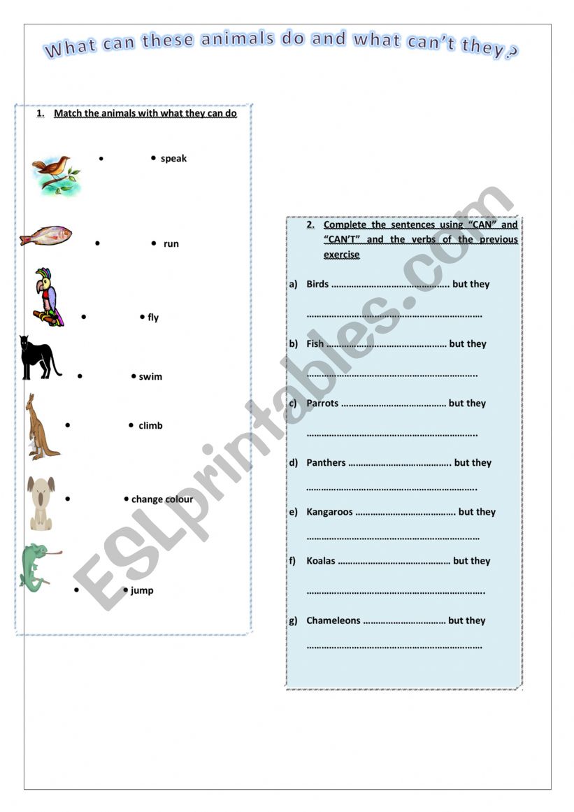 what-can-animals-do-esl-worksheet-by-nougatine