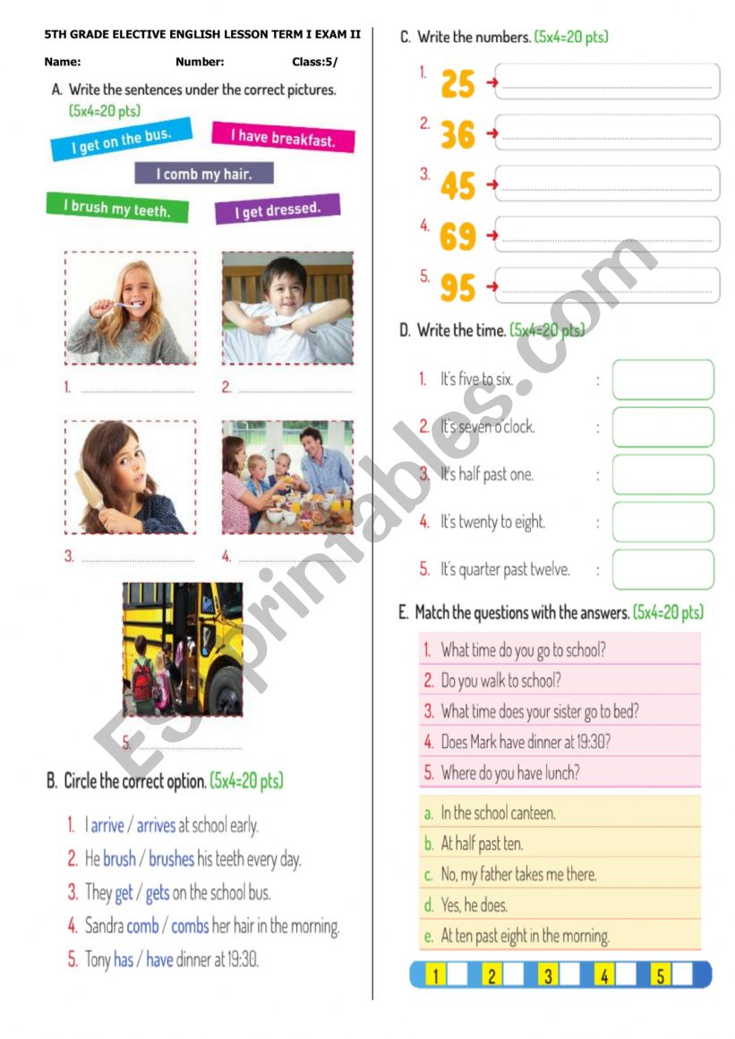 Exam Sample worksheet