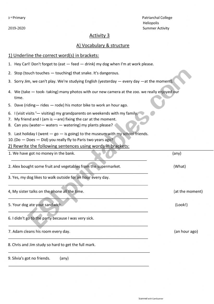 grammar sheet worksheet