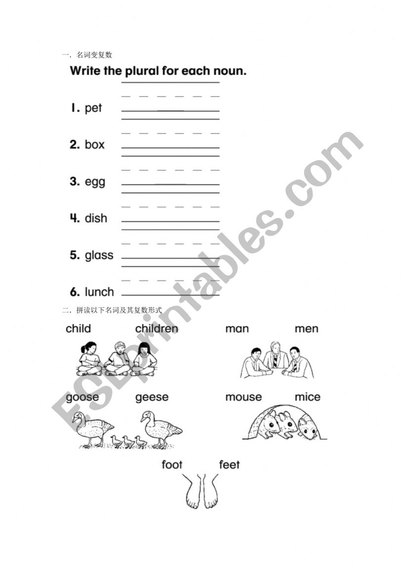 Nouns And Plural Forms - ESL Worksheet By Cnbilllck