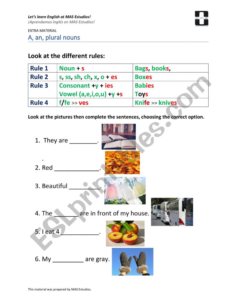 Plurals, a, an worksheet