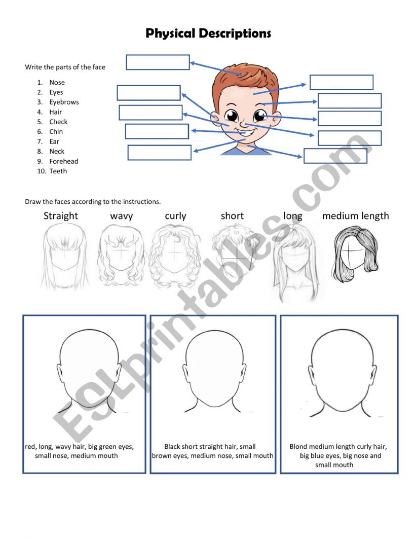 Physical Descriptions worksheet