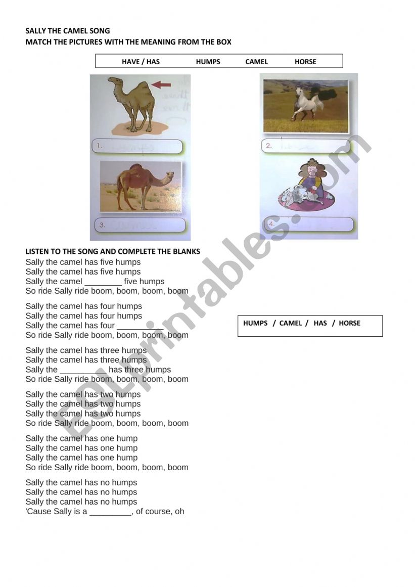 SALLY THE CAMEL SONG - ESL worksheet by Esuco