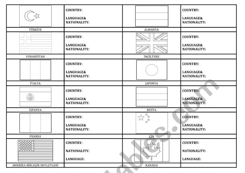 flags worksheet