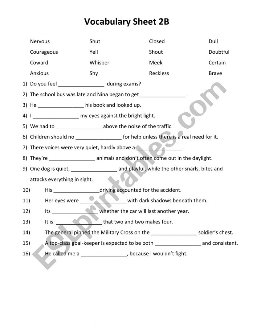 Vocabulary  Worksheet 2B worksheet