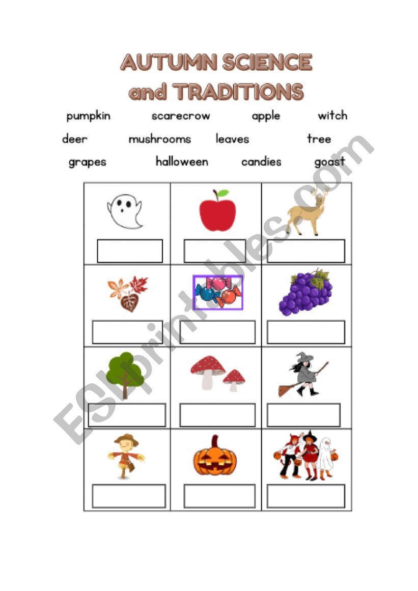 Autumn vocabolary worksheet