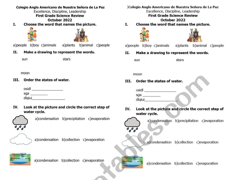 Science review first grade worksheet