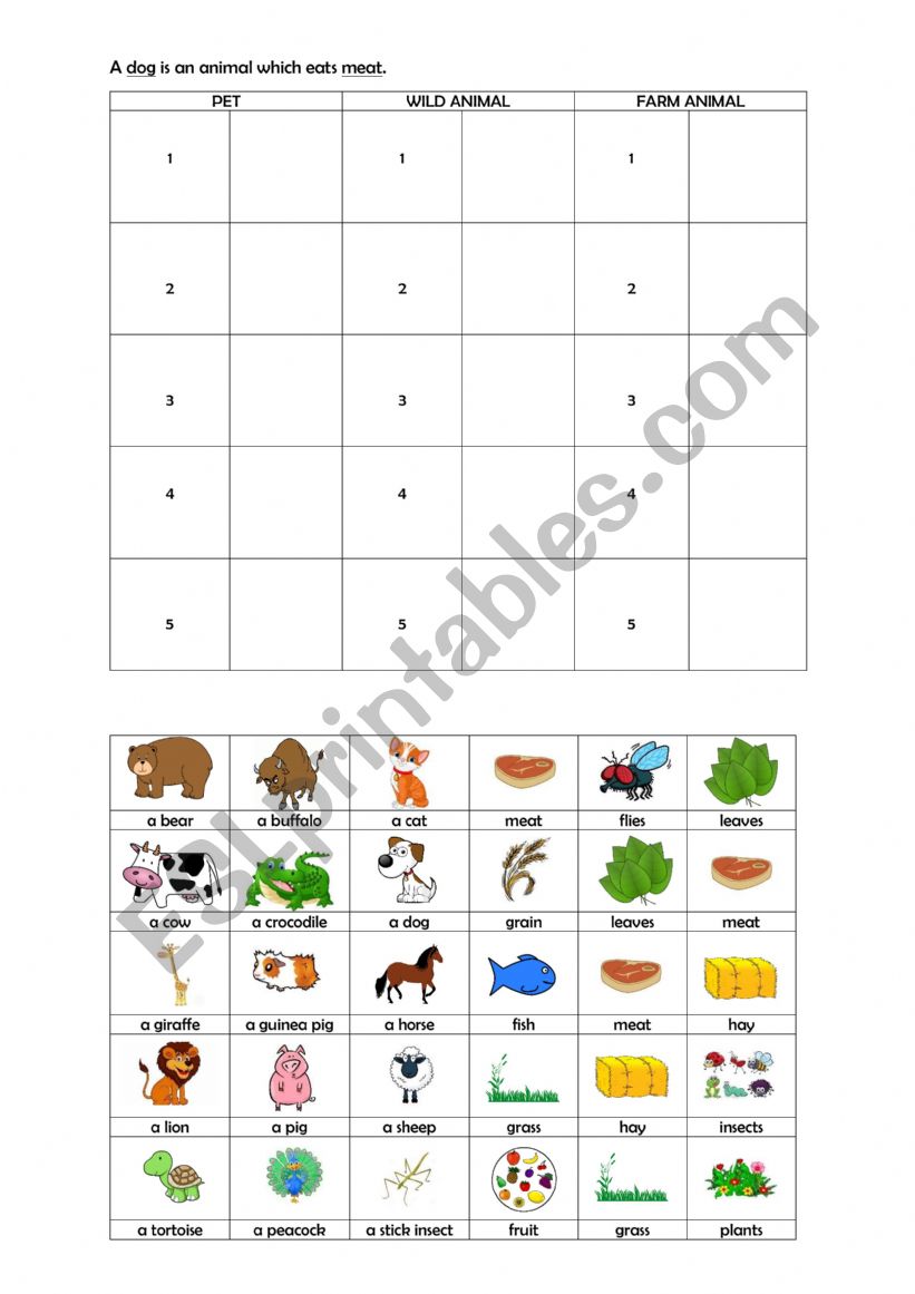 Animals worksheet