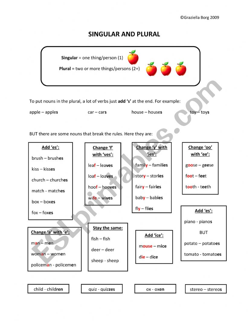 Singular plural worksheet