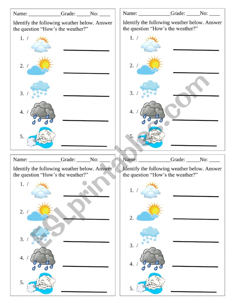 Weather worksheet