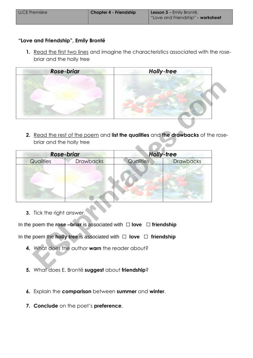 THE ROSE BRIAR. Understanding the poem