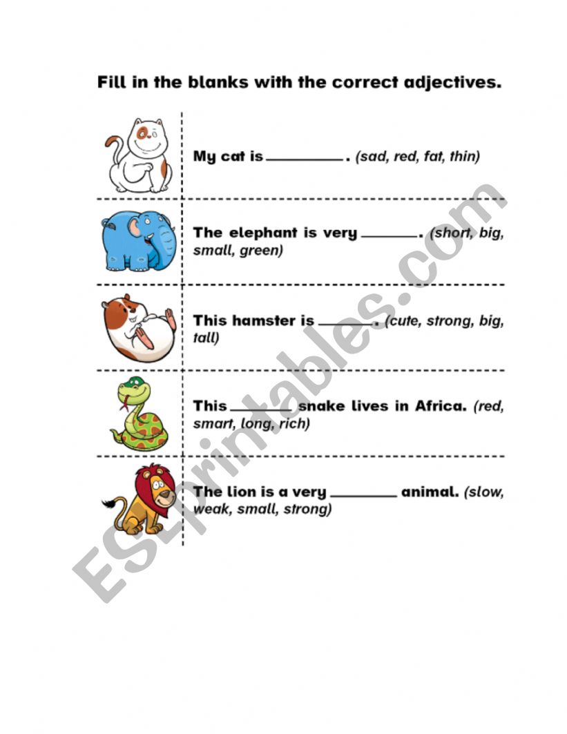 Adjectives worksheet