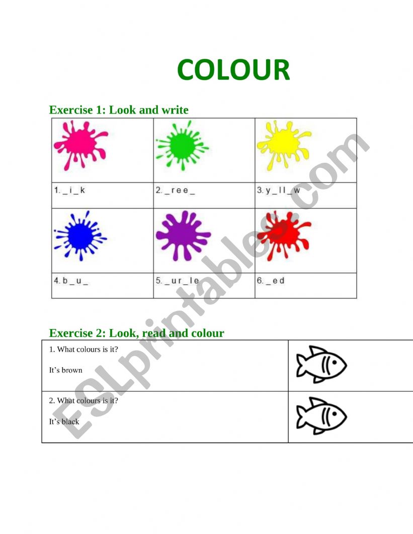 EXERCISES OF COLOURS worksheet