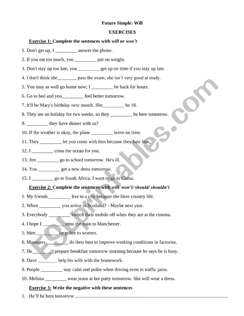 Future Simple will Exercises worksheet
