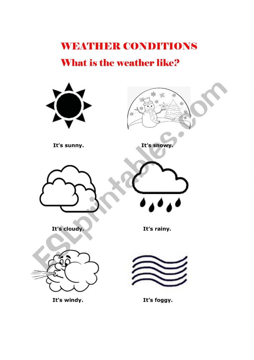 Weather Conditions worksheet