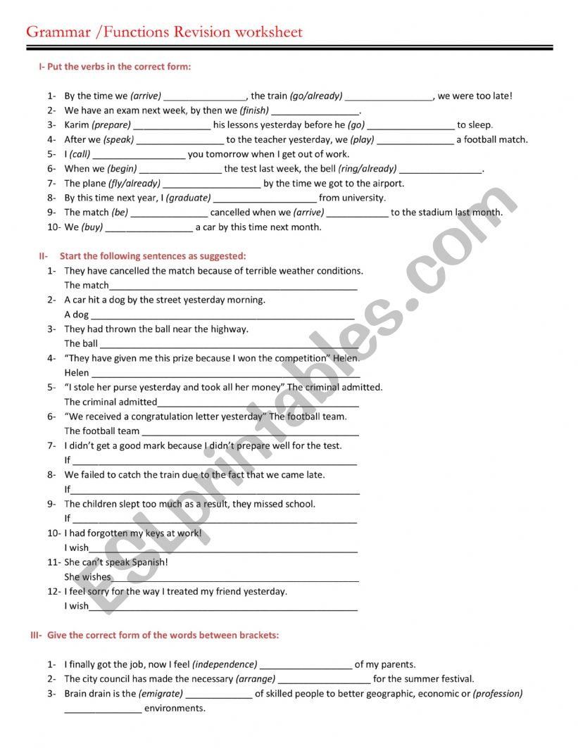 Revision of Grammar  worksheet