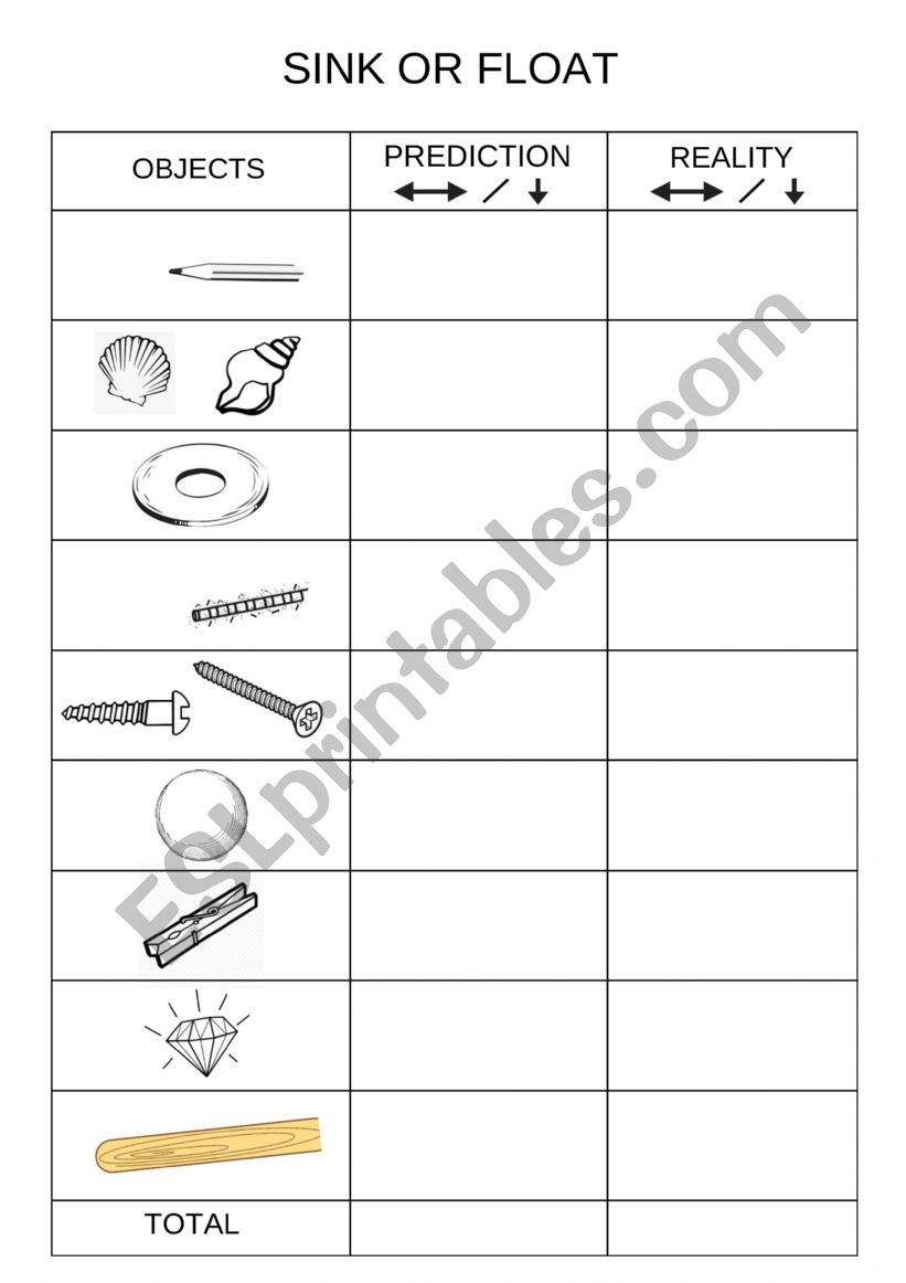 Sink and Float  worksheet