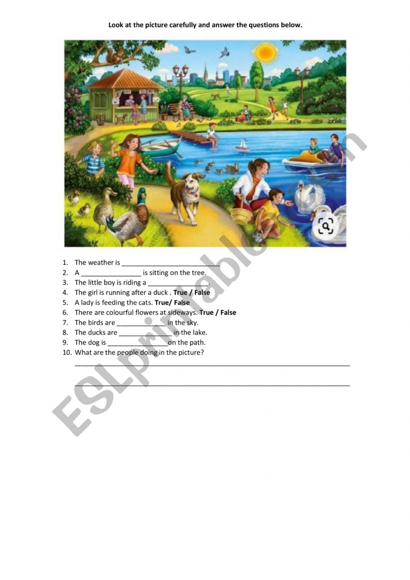 PICTURE COMPREHENSION worksheet