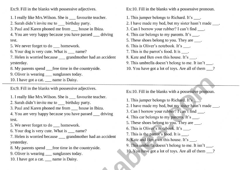 possessive adjectives / possessive pronoun