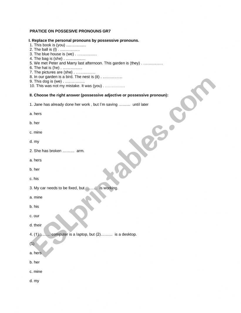 Practices on possesive pronouns