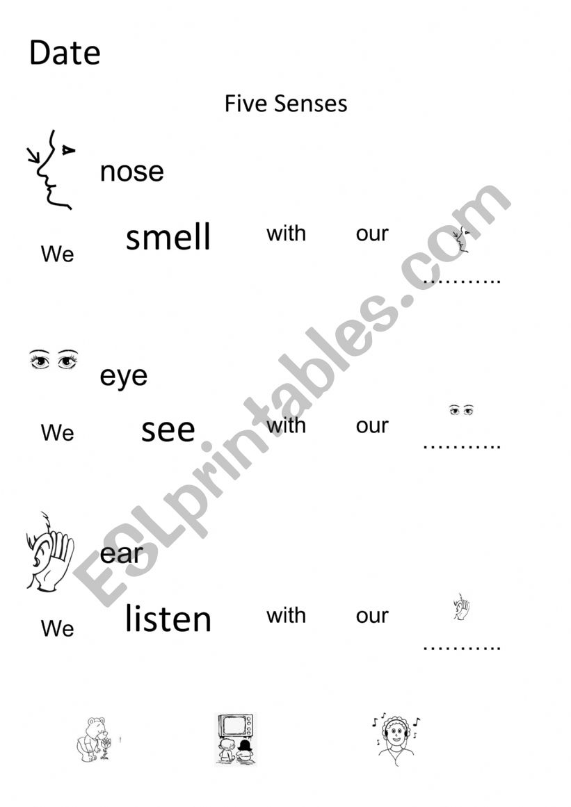 Five Senses worksheet