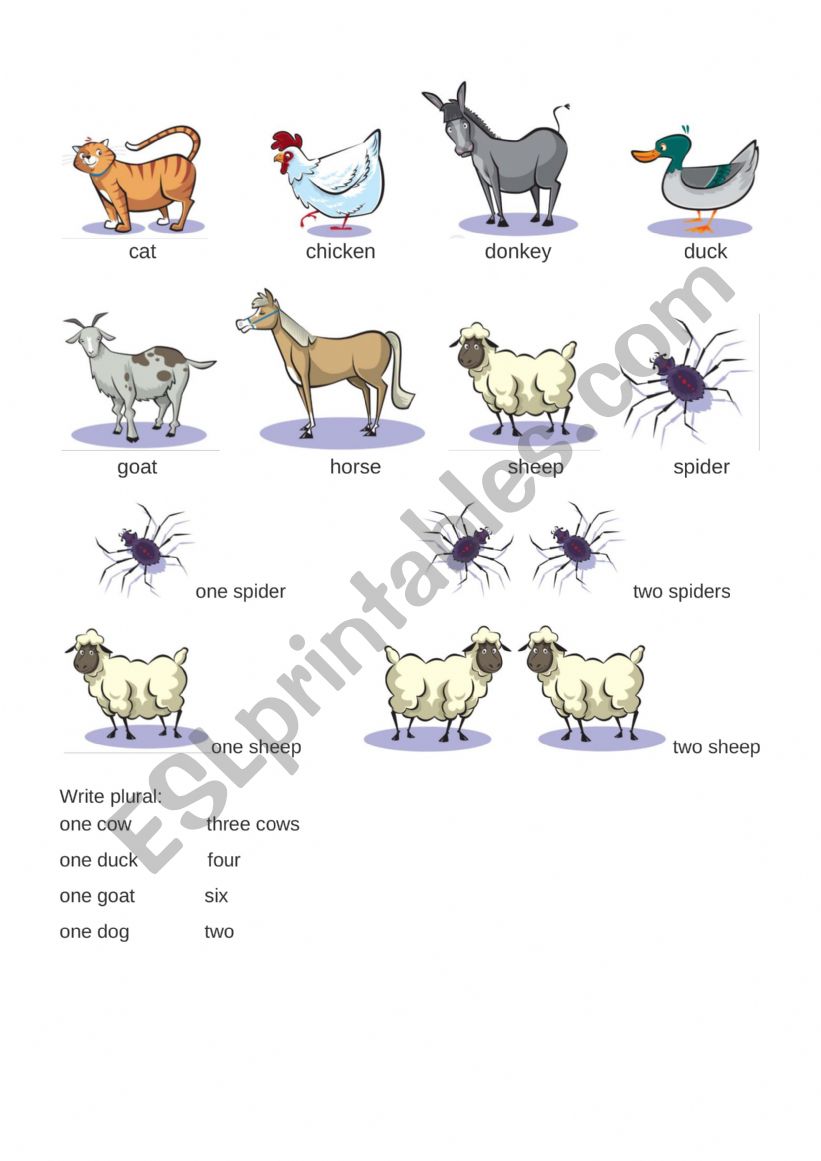 Animals worksheet