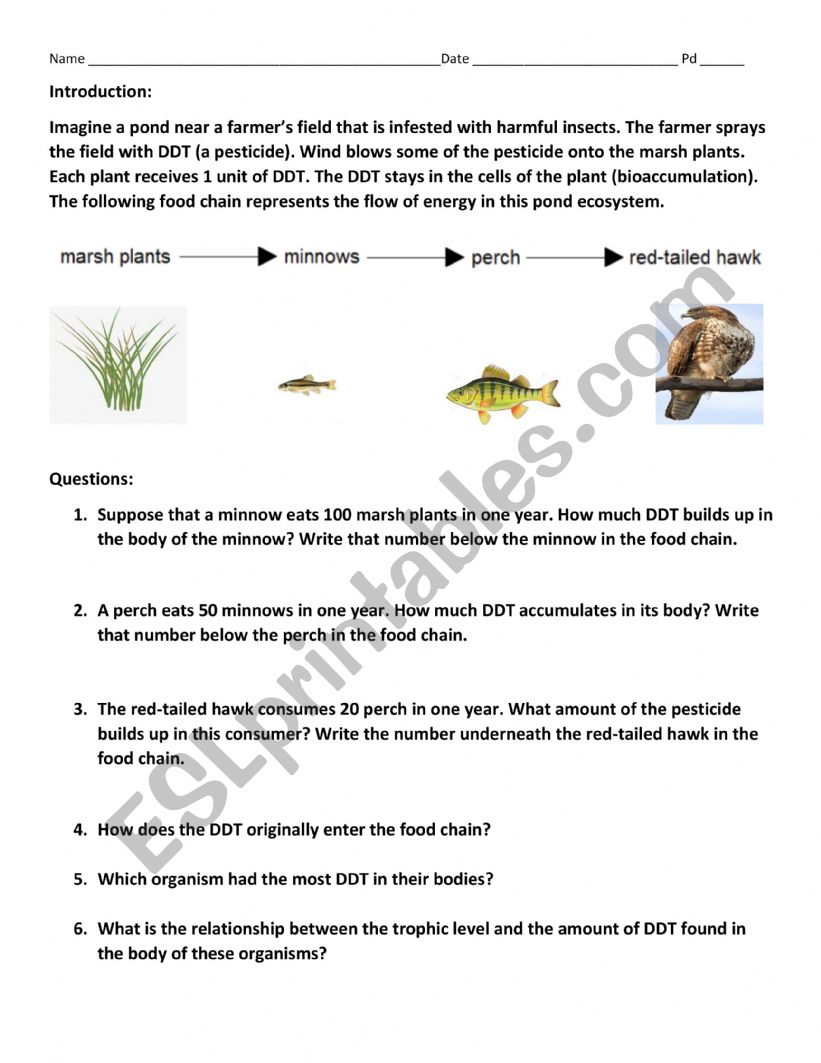 Bioaculation And Biomagnification Worksheet Worksheets For Kindergarten