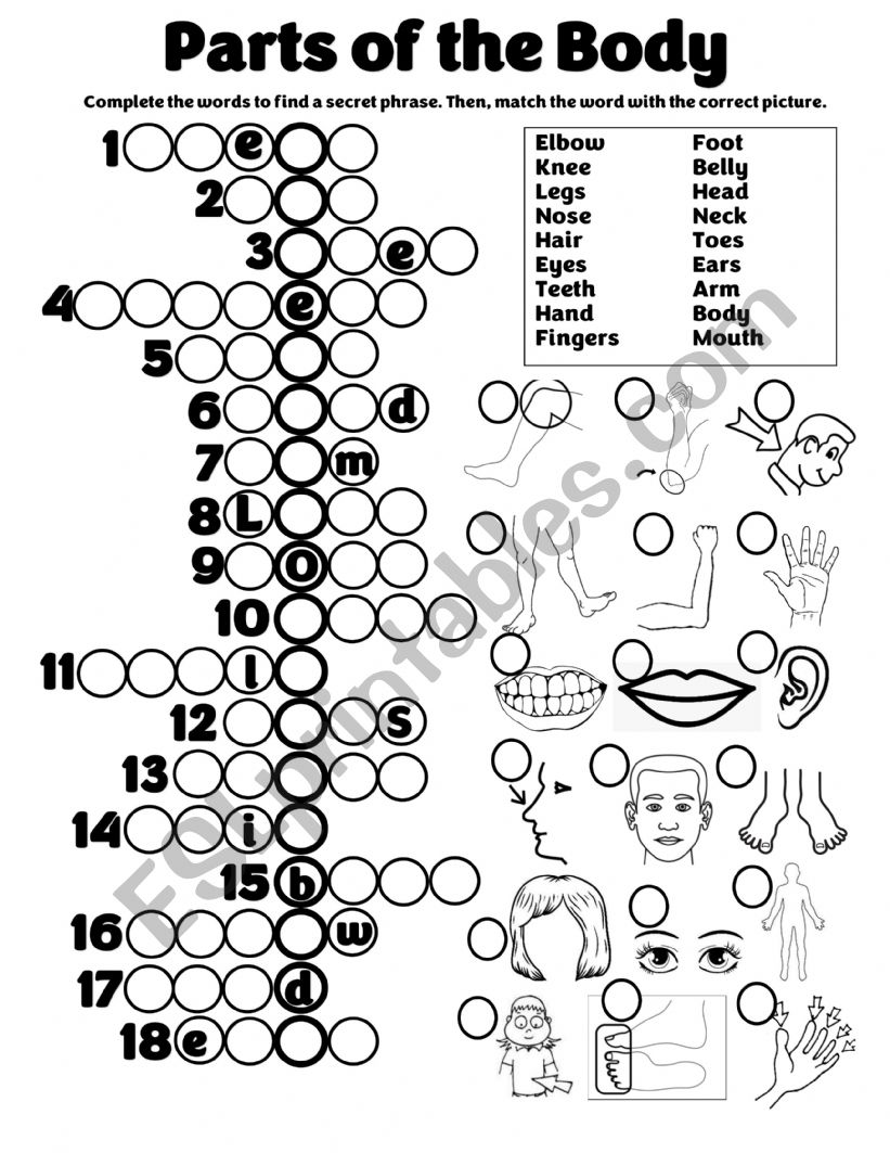 PARTS OF THE BODY - ESL worksheet by Teacher Claudia M.