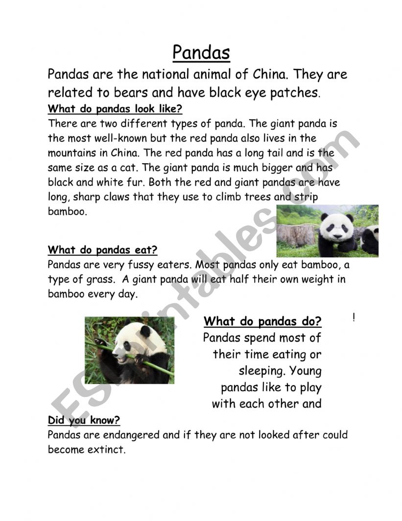 Pandas worksheet