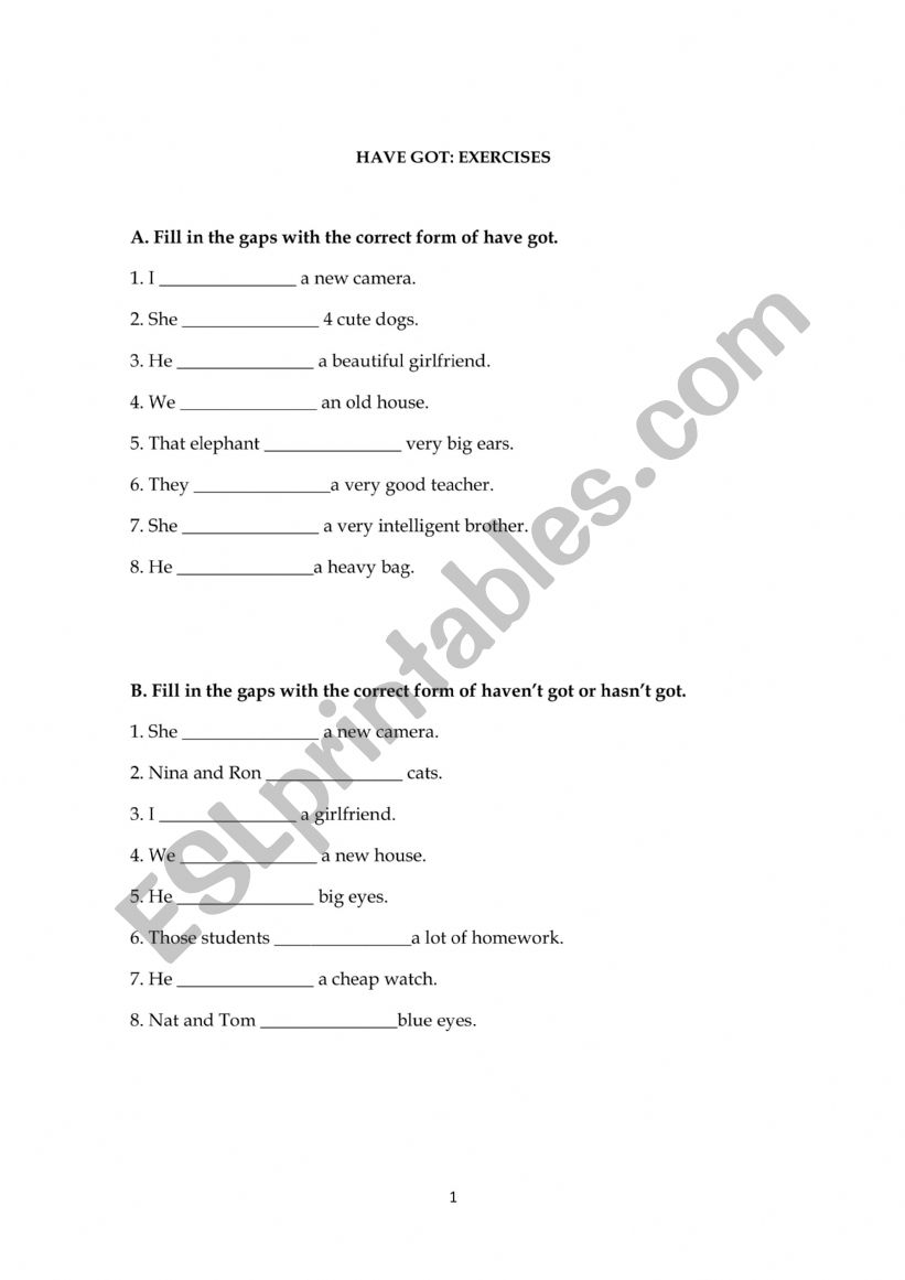 Have got_exercises worksheet