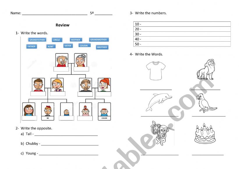 Review worksheet