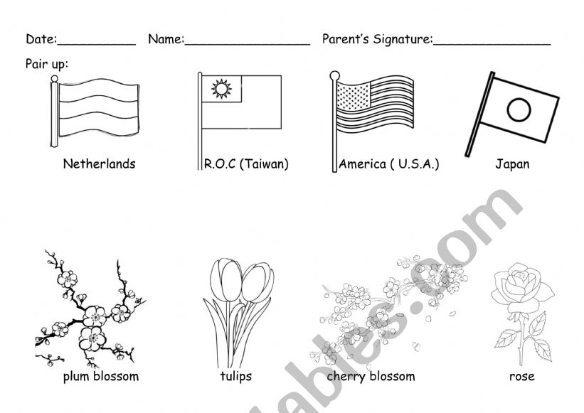 National Flag worksheet