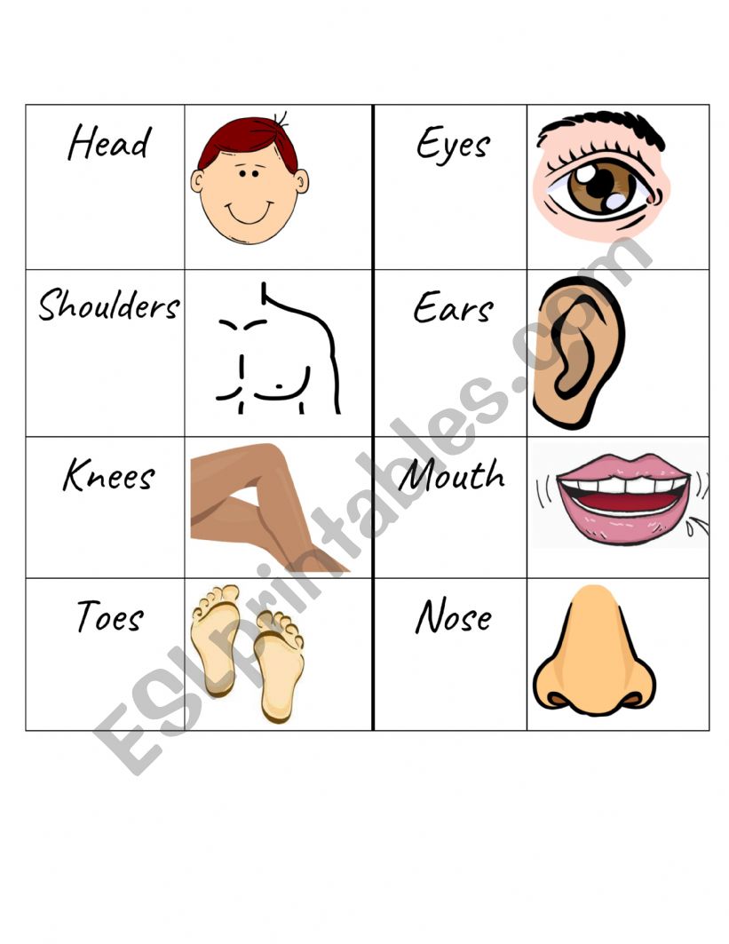 Head Shoulders Knees And Toes Visual Aids at James Mccarter blog