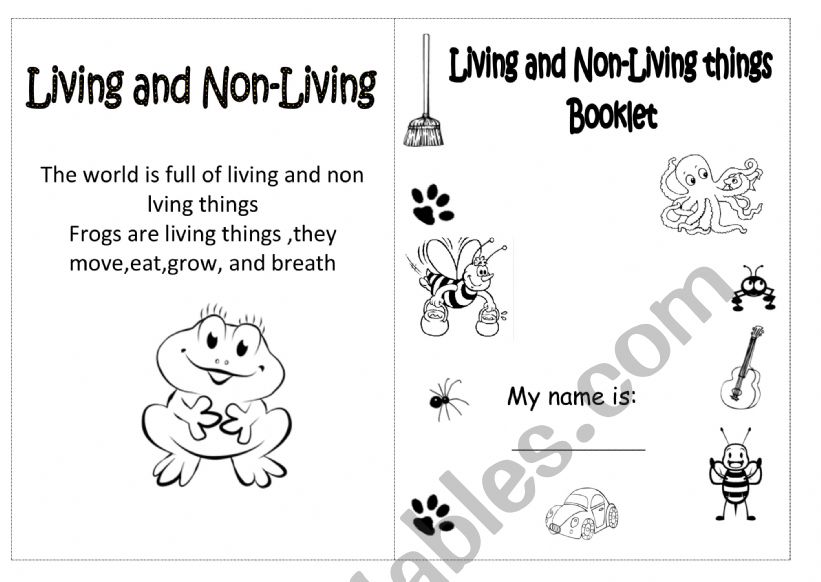 living and no living worksheet