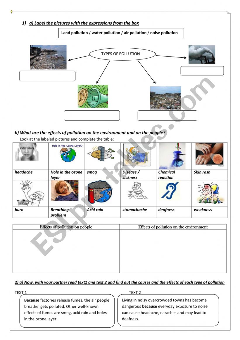 Pollution worksheet