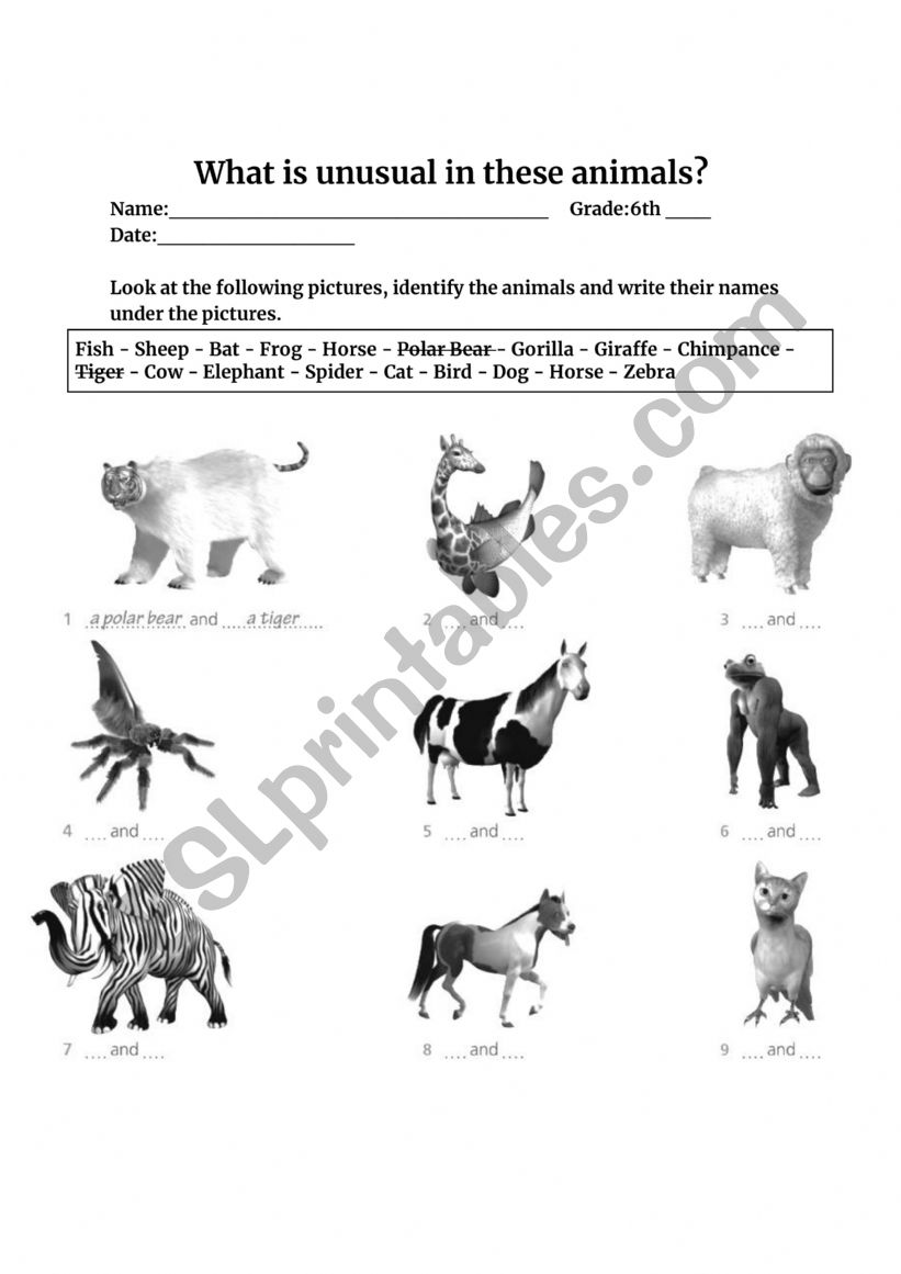 Unusual animals worksheet