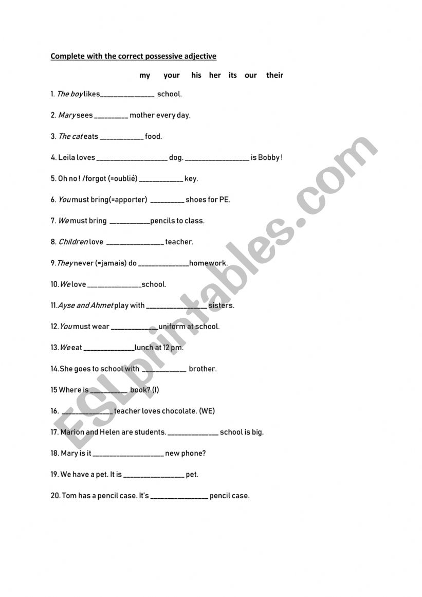 Possessive adjectives worksheet