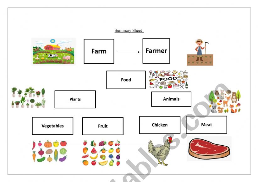 food vocabularies worksheet worksheet