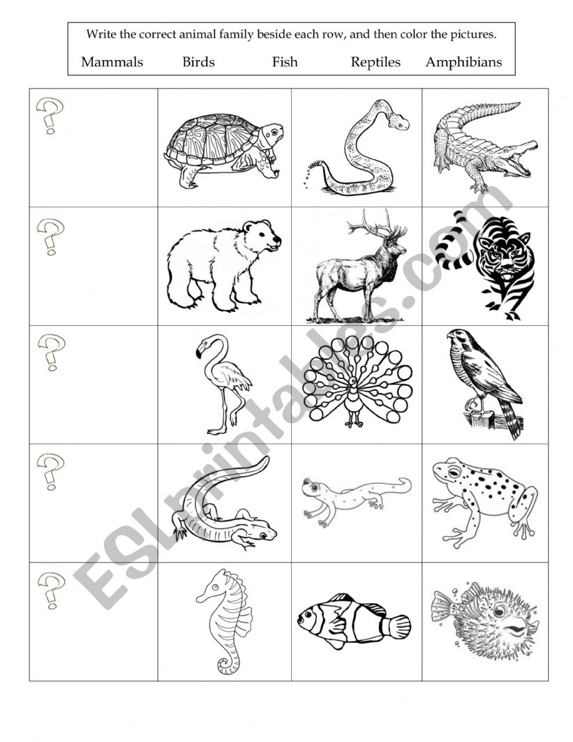 animals worksheet