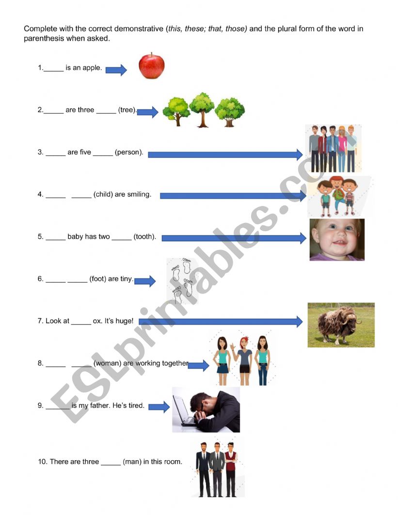 Irregluar plurals + demonstrative adjectives