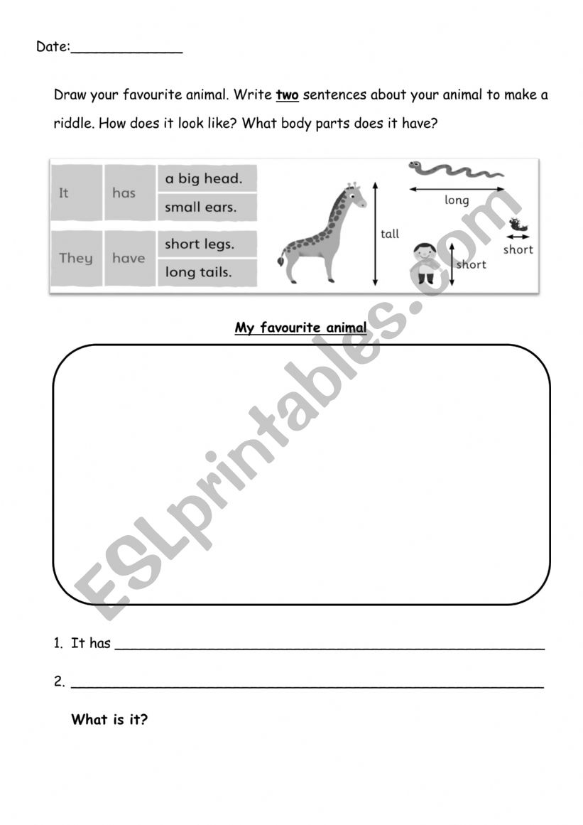 Favourite Animal worksheet