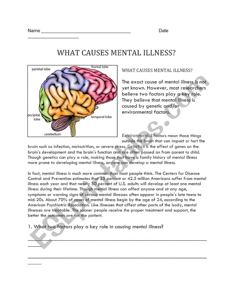 WHAT CAUSES MENTAL ILLNESS? worksheet