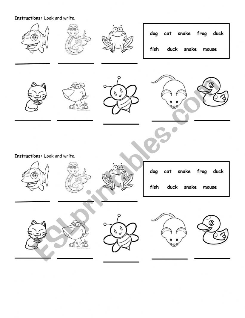 Animals worksheet