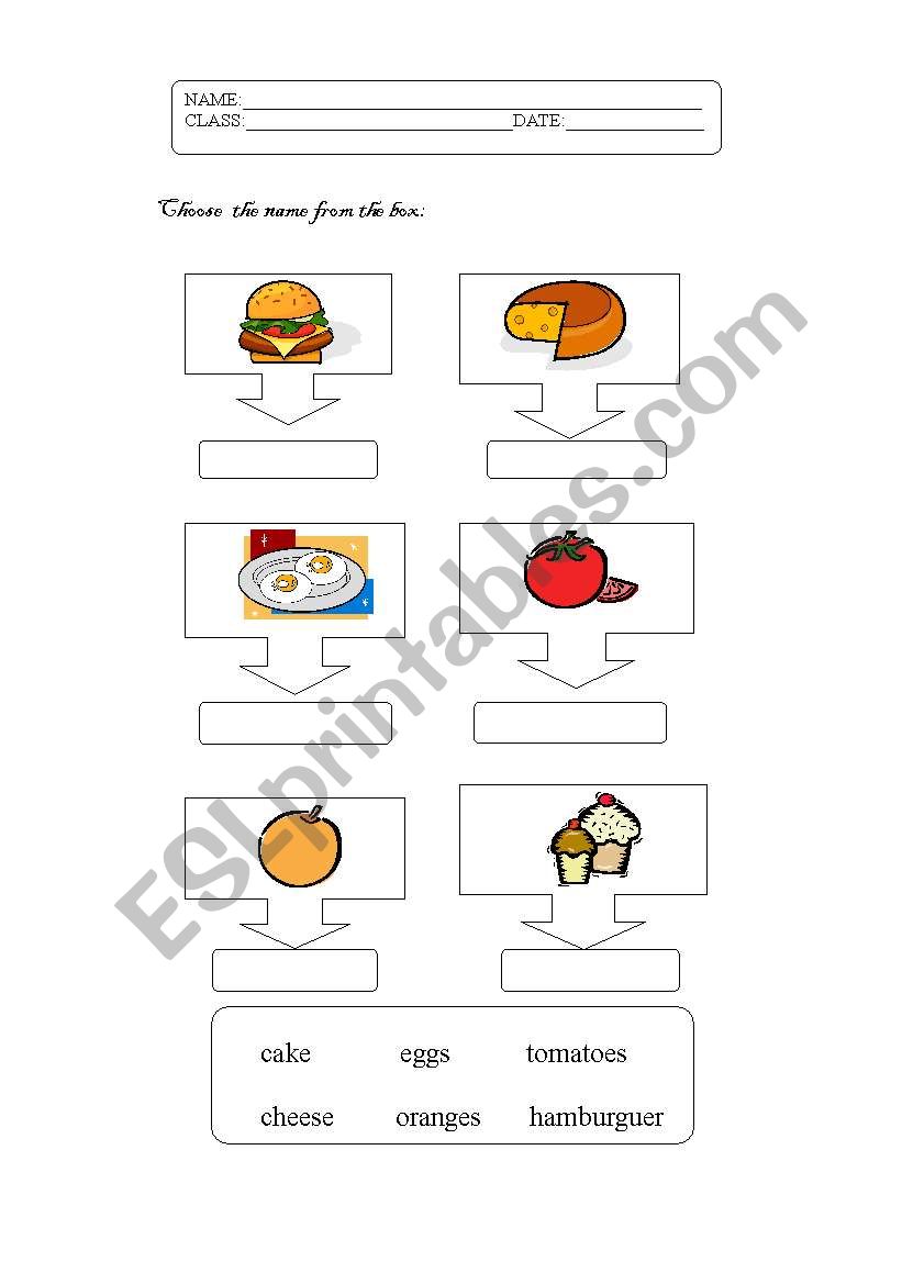 choose the name from the box worksheet