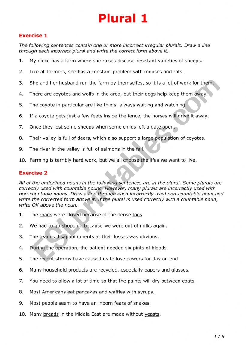 Plural 1 worksheet
