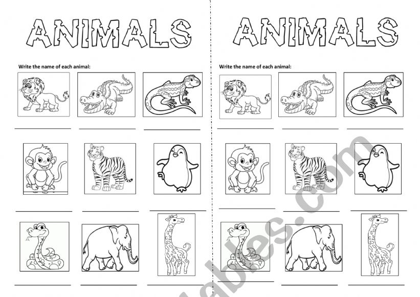 Animals 2 worksheet