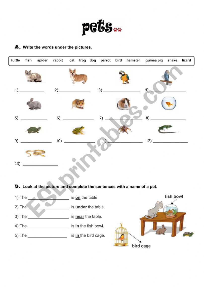 Worksheet pets  worksheet