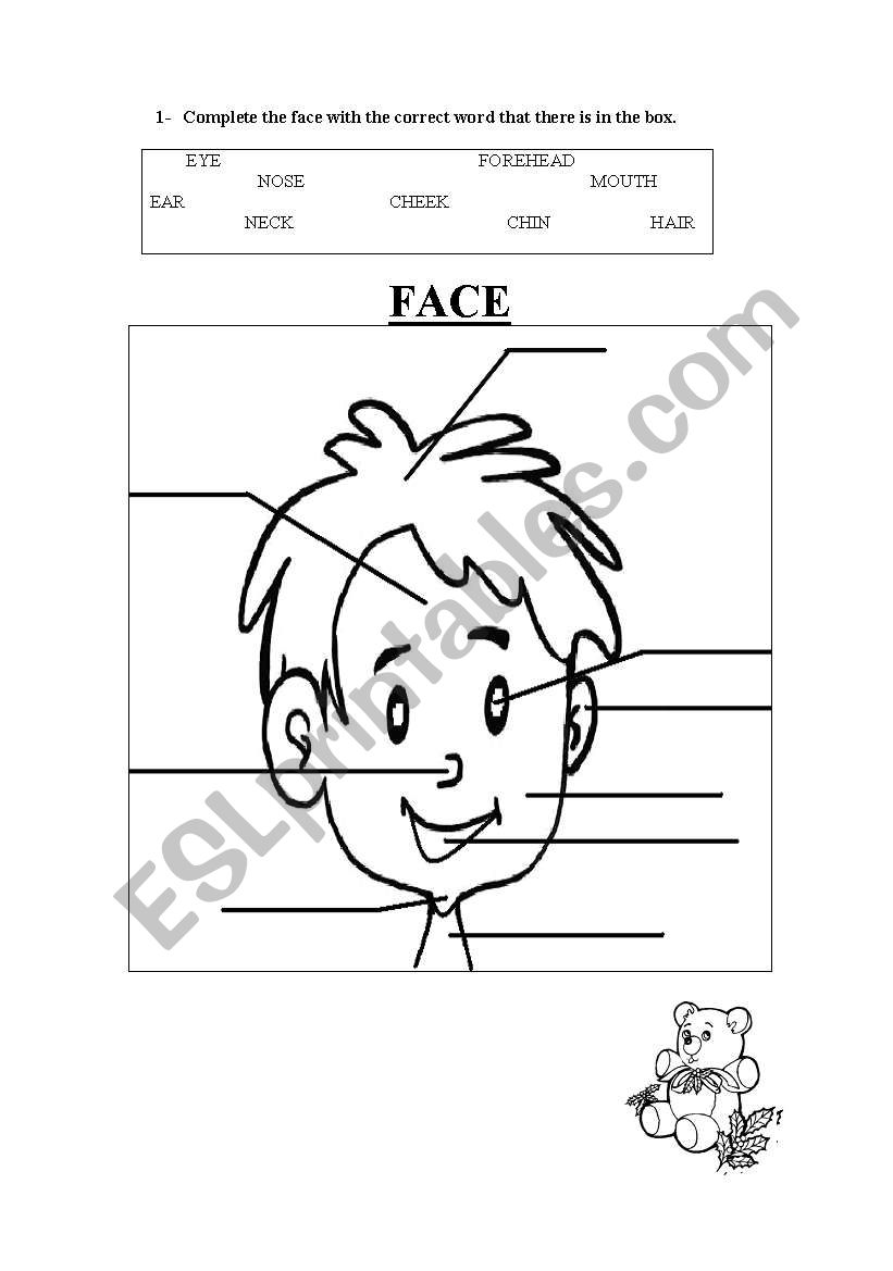 Face worksheet